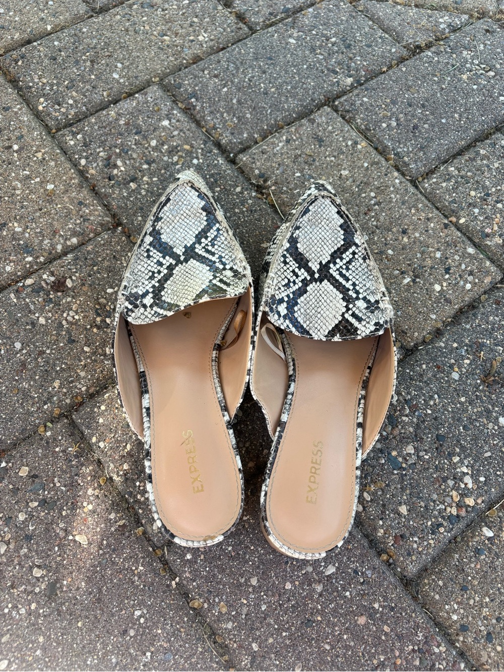 Express Snake-Print Pointed Toe Slide in Beige and Black
